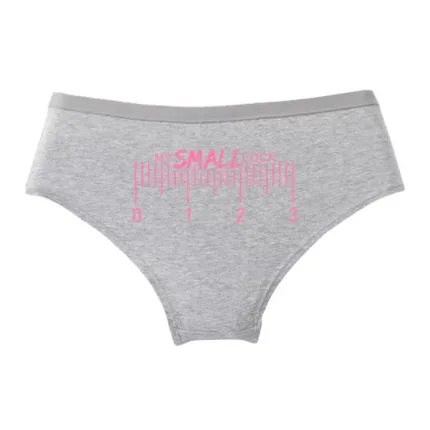 MY SMALL COCK Funny Cotton Panties — Cute Sexy Briefs for Women
