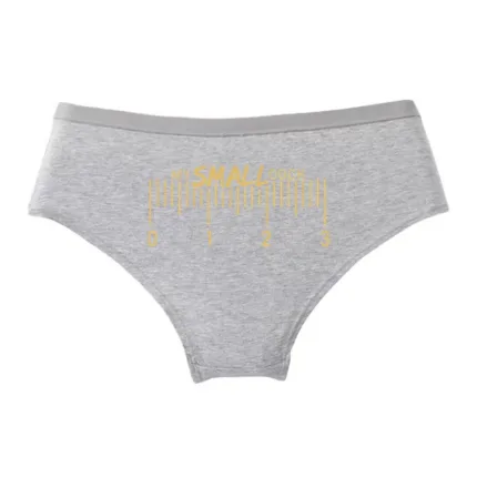 MY SMALL COCK Funny Cotton Panties — Cute Sexy Briefs for Women